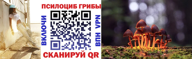 хочу наркоту  Шарья  Псилоцибиновые грибы Psilocybe 